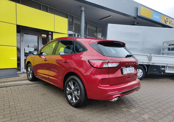 Ford Kuga cena 165900 przebieg: 10, rok produkcji 2022 z Poznań małe 137